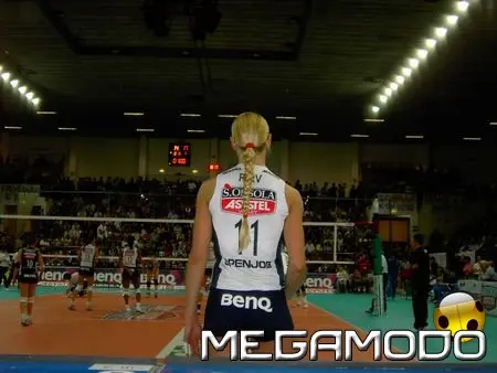 BenQ Italy ed Asystel Volley