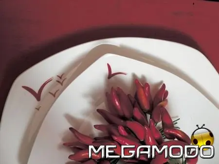 Bitossi Home Bone China Decorata