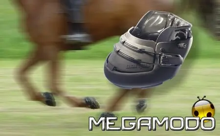 Con Desmopan sulle orme di Gengis Khan