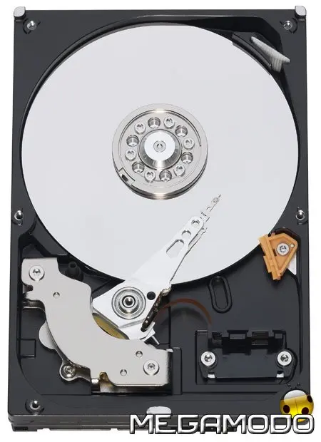 Western Digital Caviar GP da 500GB