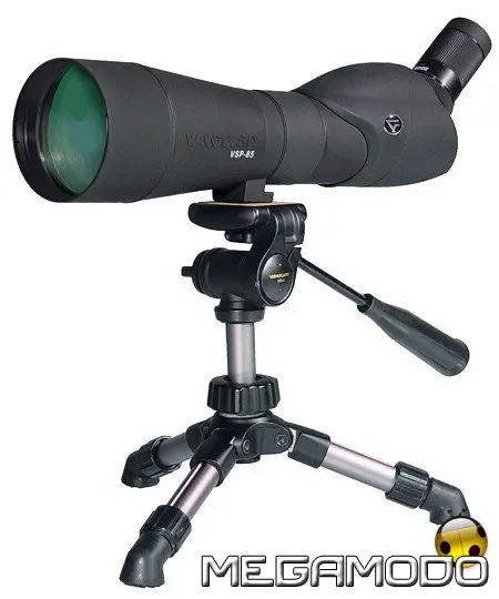 Vanguard Linea Observation