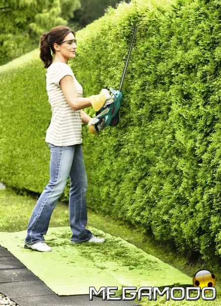 Giardinaggio, il 2008 punta sul Litio