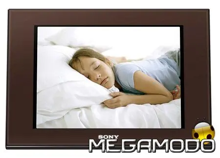 Sony DPF-D80 e DPF-D100, nuove cornici digitali