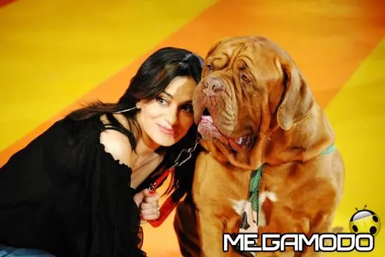 I love my dog, un premio per la coppia cane-padrone