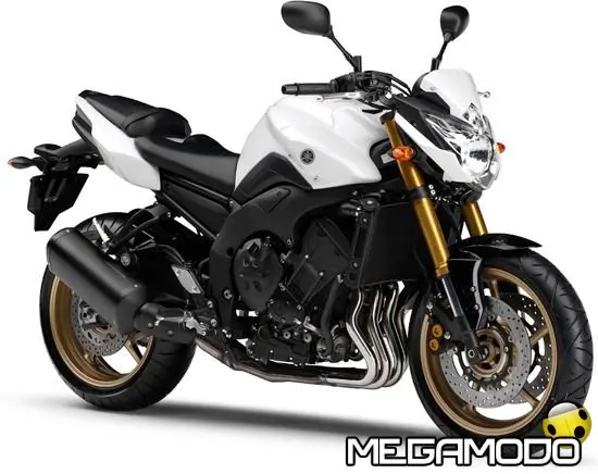 Nuove Yamaha FZ8 e Fazer 8 MY 2010