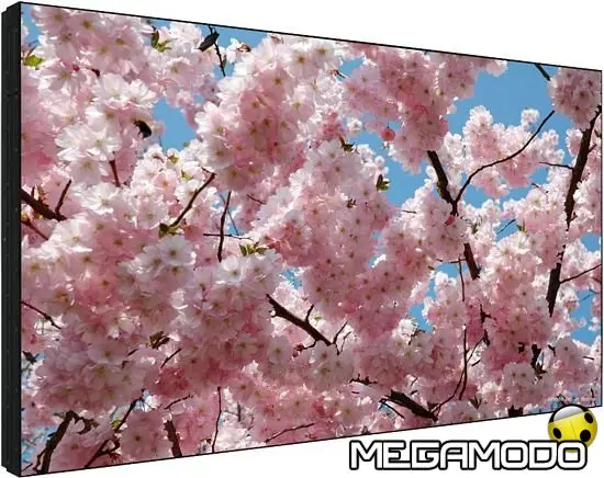 Sharp presenta il nuovo LCD PN-V601