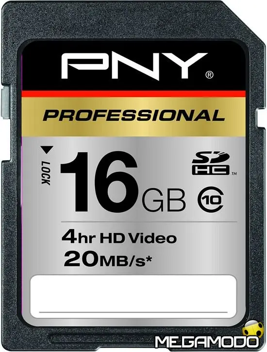 PNY Technologies SDHC Class 10 Professional