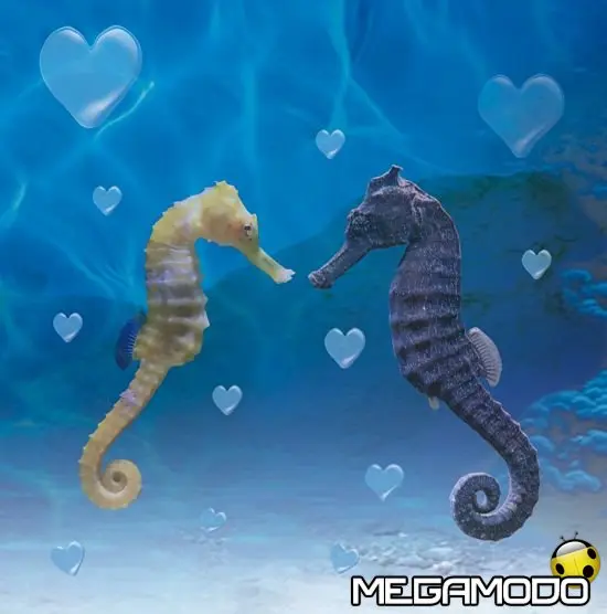 San Valentino a Gardaland SEA LIFE Aquarium