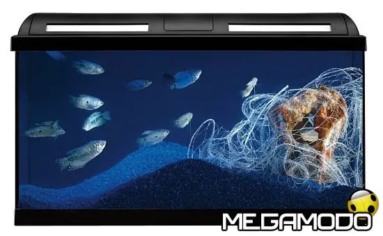 Askoll e Demoskopea, indagine sul rapporto degli italiani con l'acquario in casa