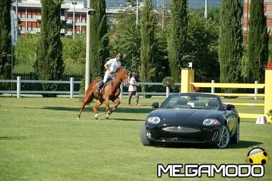 Jaguar Master Eccellenza Giovani 2011