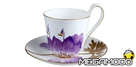 Flora, il linguaggio dei fiori 