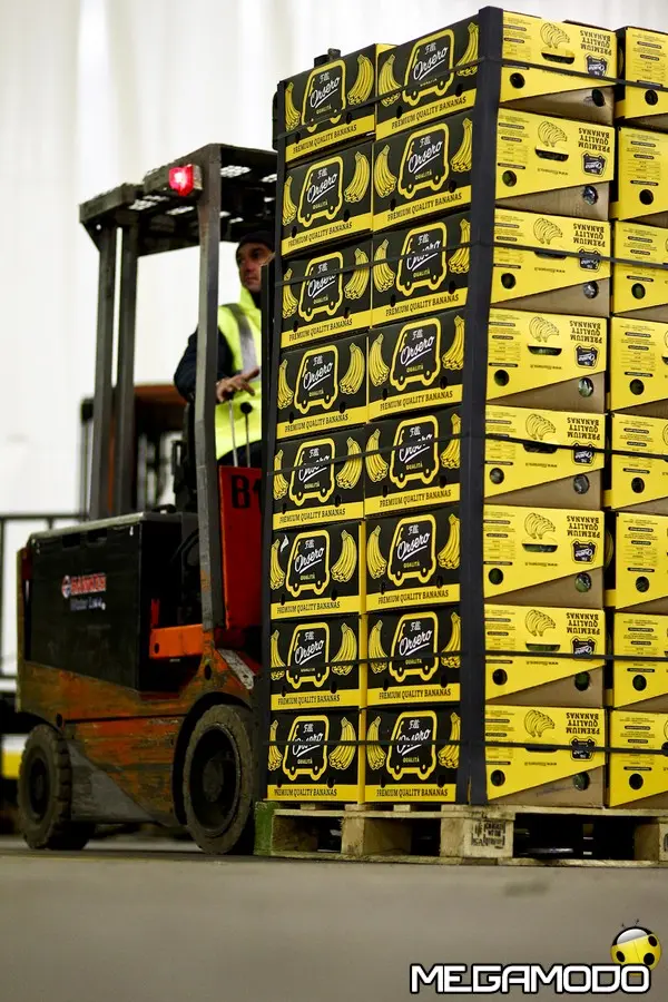 pallet banane flli orsero