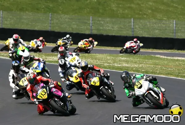 michelin 1000 2011 gruppo e armetti n 55