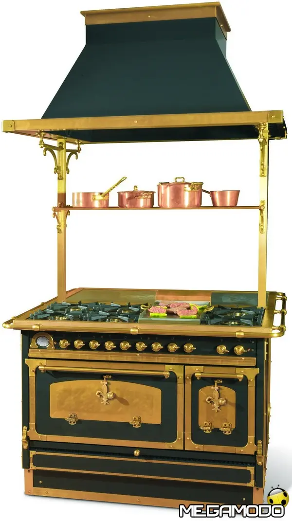 restart cucine tra i protagonisti della fiction di rai 1 nero wolfe immagine 20120410171535