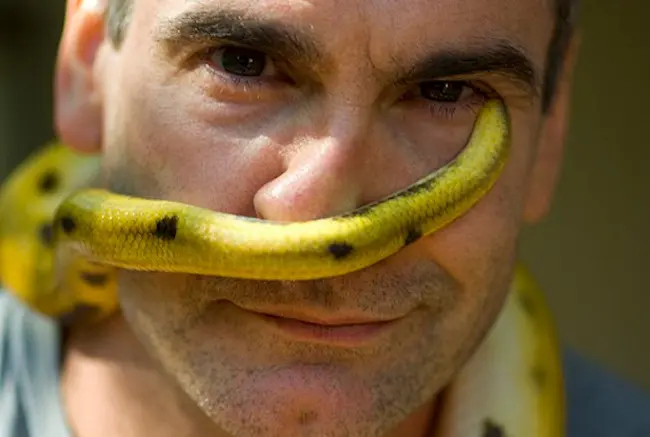 Animal Underworld, Henry Rollins su Nat Geo Wild
