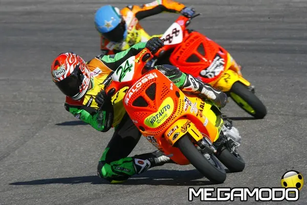 24 zenari vincitore nazionale