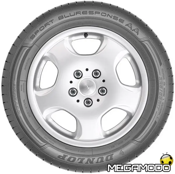 dunlop sp sport bluresponse aa