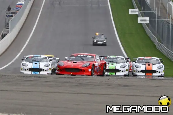 merendino pellitteri