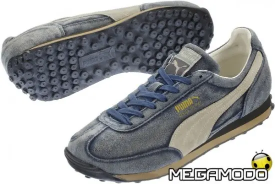 easy rider winterize11a5c5