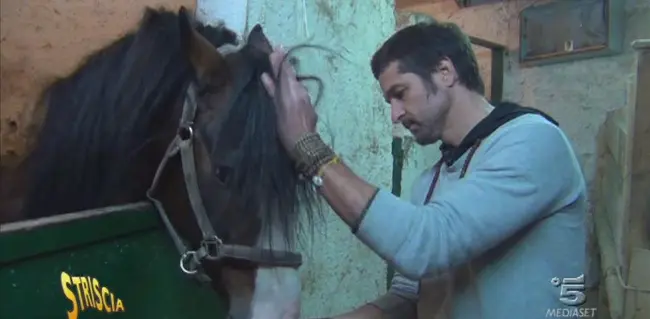 Striscia la Notizia: Edoardo Stoppa scopre cavalli in pessime condizioni a Napoli