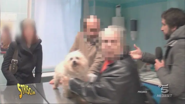 Striscia la Notizia: Edoardo Stoppa aggredito da un veterinario sospeso che continua ad esercitare