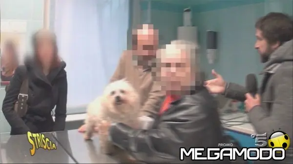 Striscia la Notizia: Edoardo Stoppa aggredito da un veterinario sospeso che continua ad esercitare
