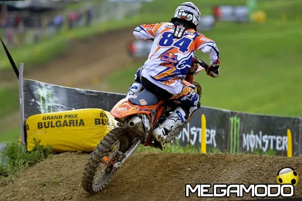 herlings