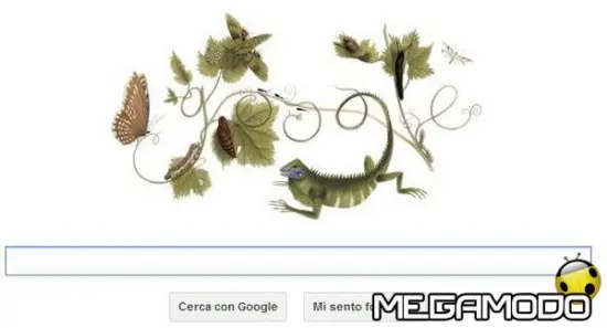 Google doodle tra gli insetti, l'omaggio a Maria Sibylla Merian 