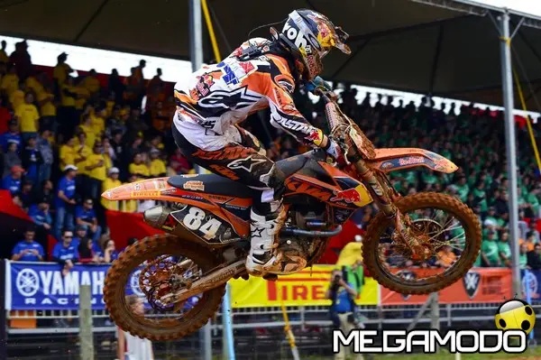 herlings action2