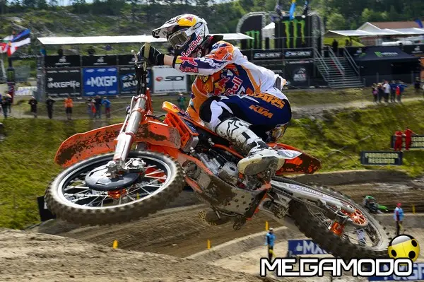 herlings