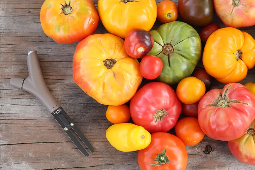 Piante: Parrot Flower Power si prende cura del giardino