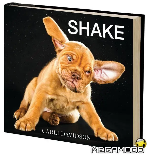nikon shake by carli davidson rid