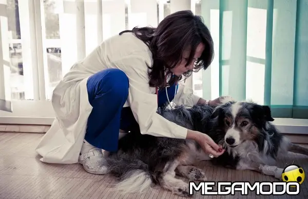 emergenzaveterinaria2 copia