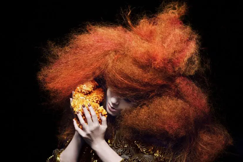 “When Björk met  Attenborough”, il dvd è in uscita in Italia