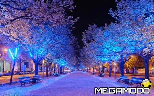 Berlino d'inverno: splendore e gastronomia nella città tedesca - foto 2