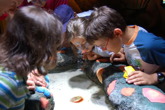 Gardaland SEA LIFE Aquarium dedica il mese di novembre ai laboratori su “Armi di difesa delle Creature Marine”