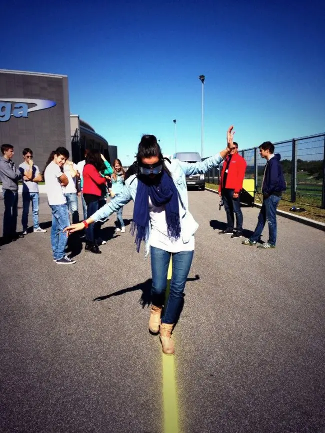 Driving Skills For Life: chiuso il 2014 con 6.100 partecipanti europei ai corsi di guida responsabile Ford