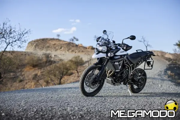 my16 tiger xca white 03 rt