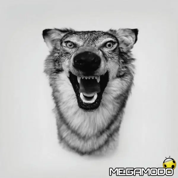 yelawolf cover album love story 300cmyk m