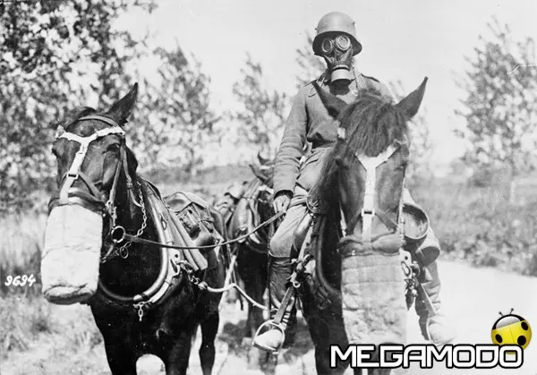 horse and gasmark