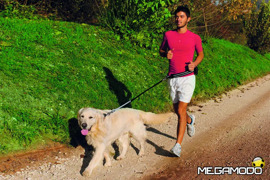 Ferplast: collari, pettorine e guinzagli per gli amanti dello sport