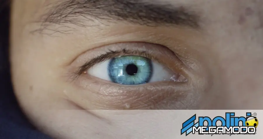 Polini Motori, corsa verso il futuro