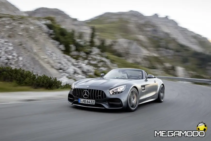 AMG GT C Roadster (R 190), 2016