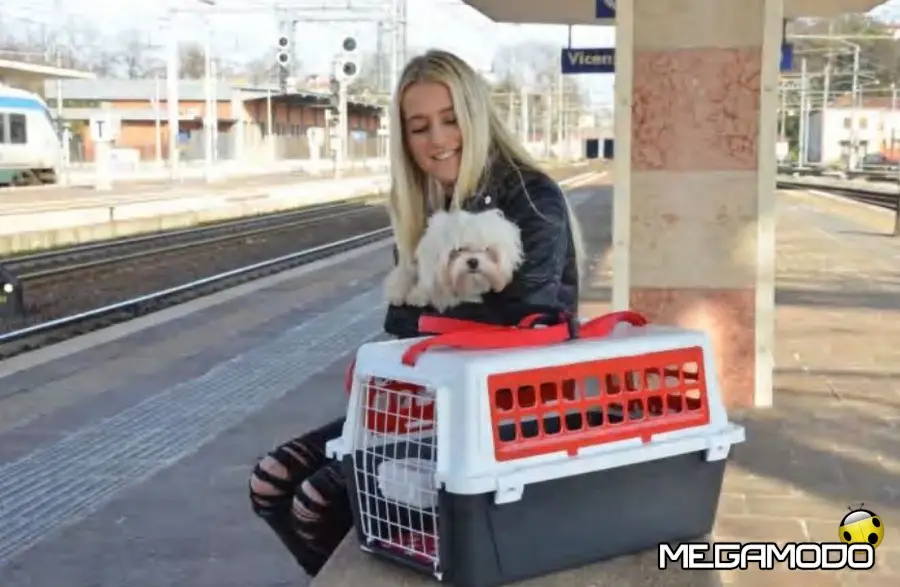 Ferplast, in gita con Fido!