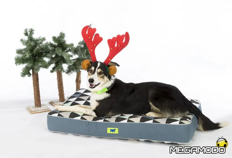 Ferplast, per un Natale in stile... Nordico!