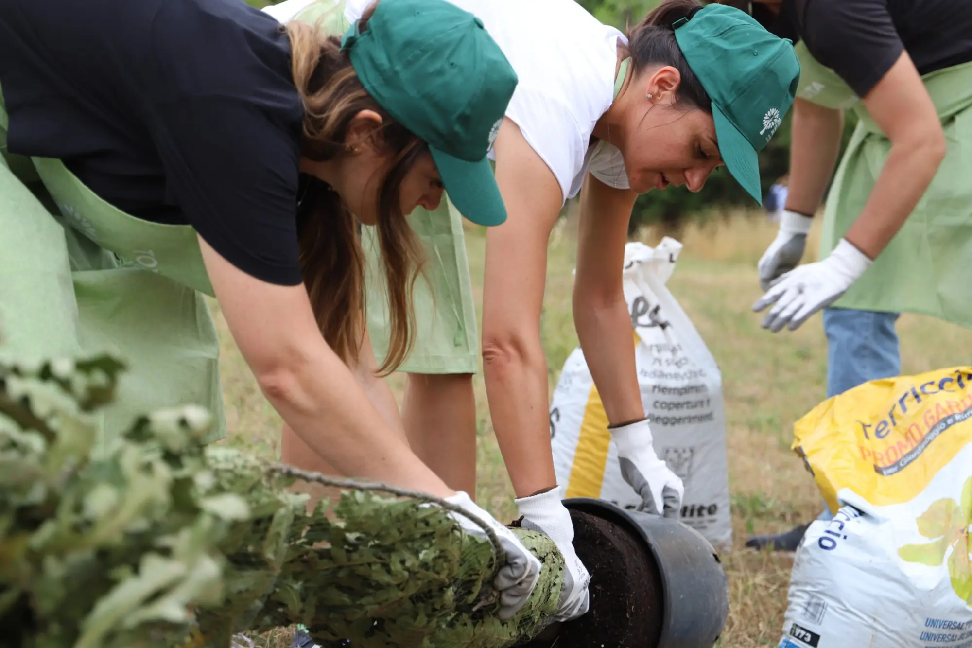 Riserva Naturale dell’Aniene: nasce il "Bosco Toyota"