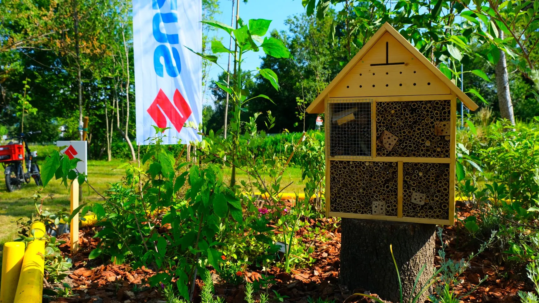 Suzuki crea “Il Giardino Delle Api Suzuki #2": un rifugio per gli impollinatori