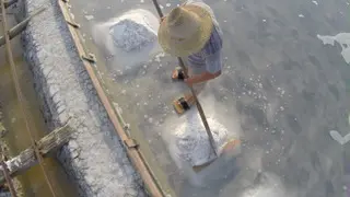 A Pirano la Festa dei Salinai: weekend di tradizioni, mare e sapori dell'Adriatico