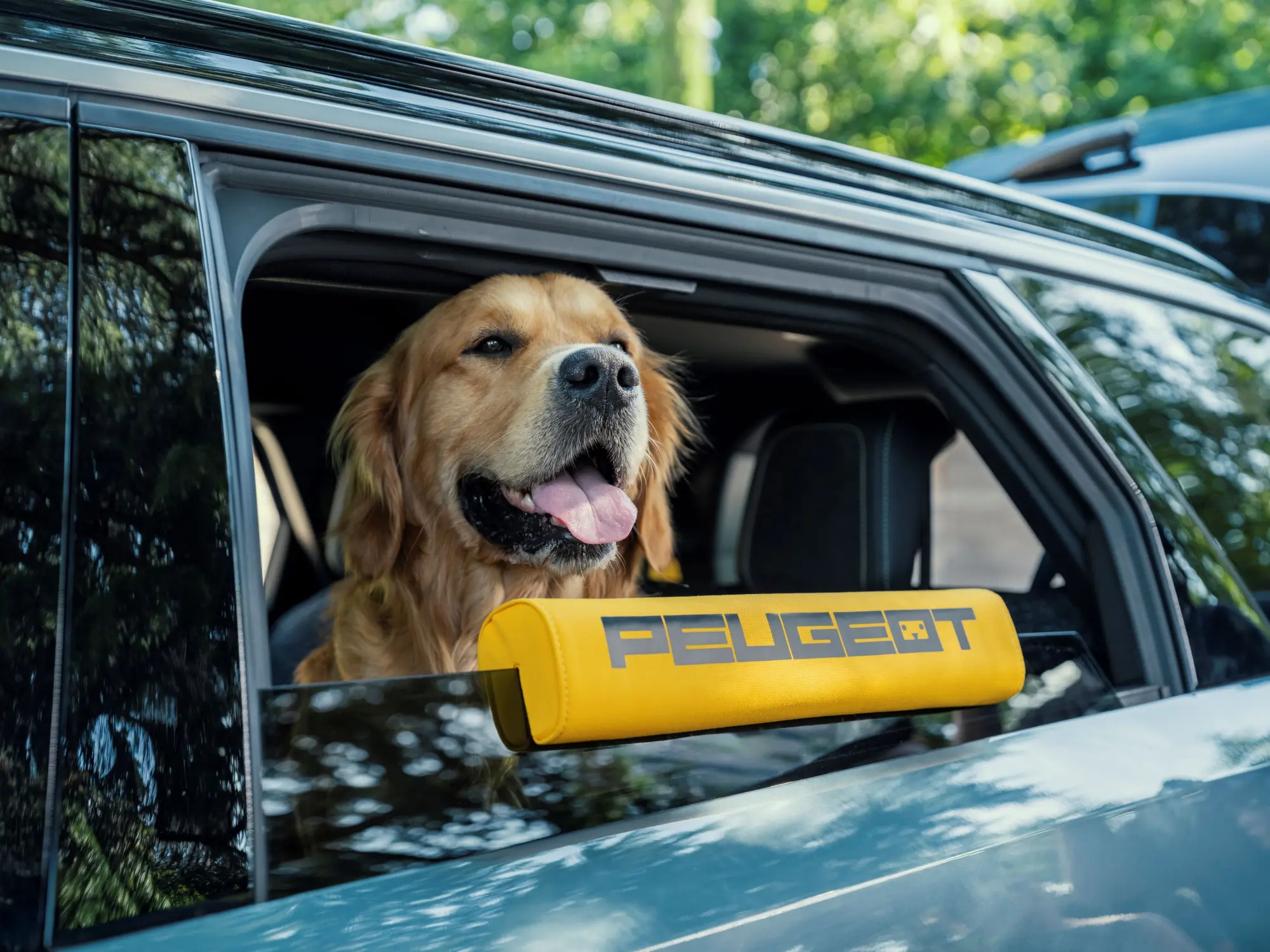 Peugeot svela E-5008 Dog Edition: il concept SUV pensato per cani e umani